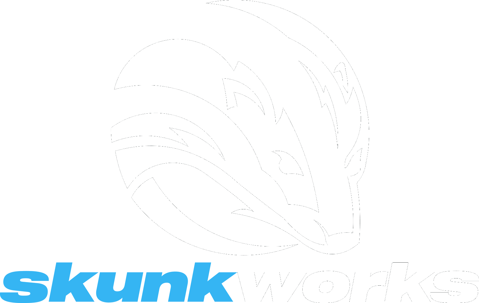 SkunkWorks